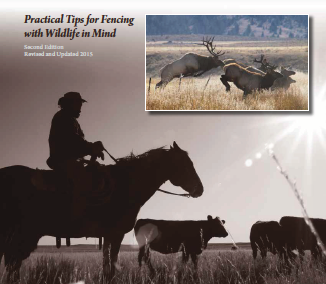 A Wyoming Landowner’s Handbook to Fences & Wildlife