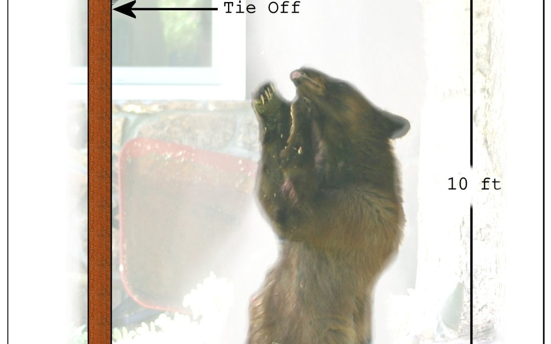 Bear Wise Bird Feeders