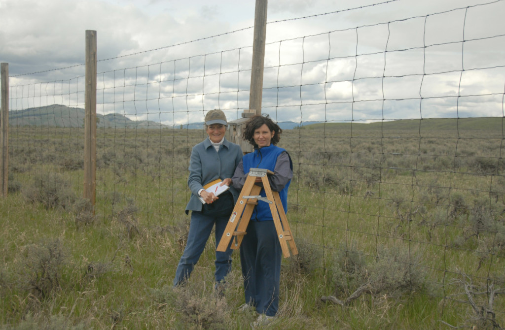 Nest-box-project-volunteers