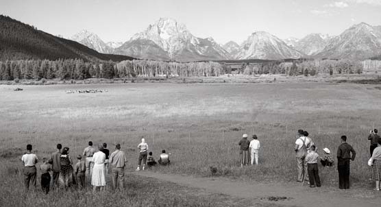 Jackson Hole Wildlife Park photo credit: Grand Teton National Park