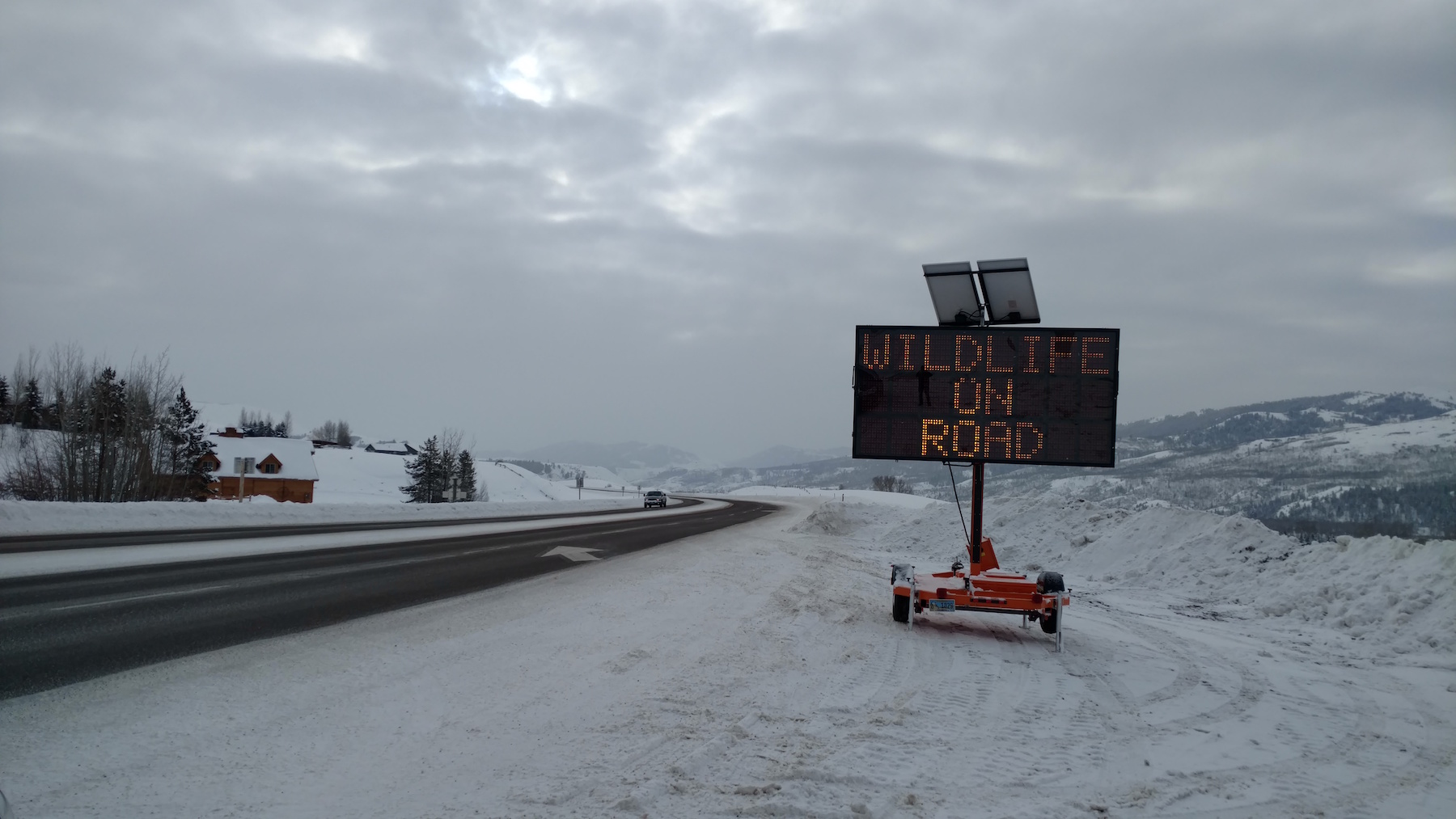 sheriffs-sign-wildlife-on-road