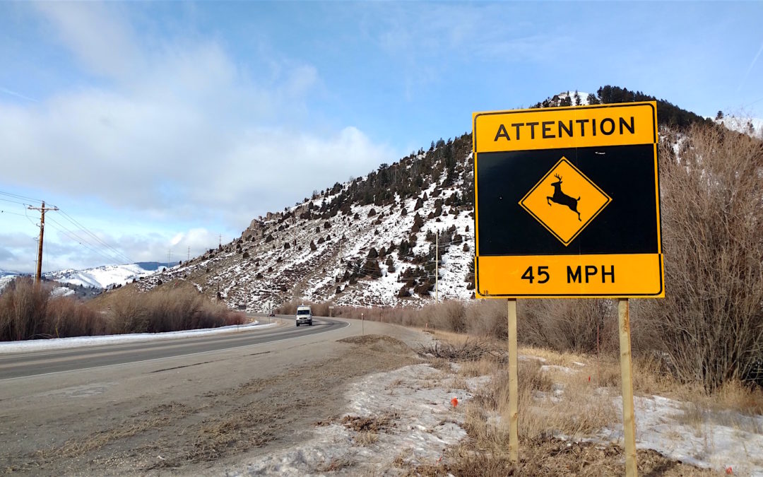 Wildlife Advisory Signs Encourage Caution in Documented Crossing Areas