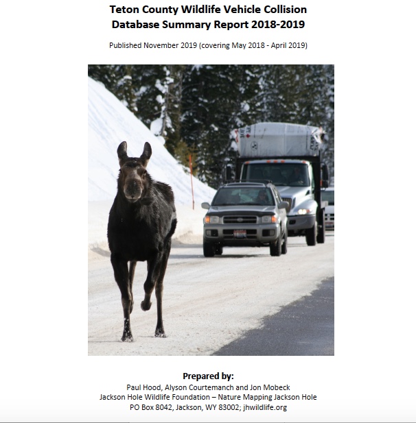 Teton County Wildlife-Vehicle Collision Database Reports