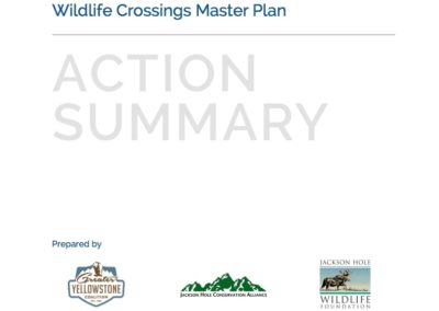 Teton County Wildlife Crossings Master Plan Action Summary