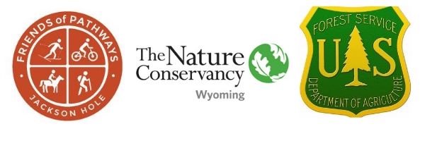 Neighbors to Nature: Cache Creek Study | Jackson Hole Wildlife Foundation