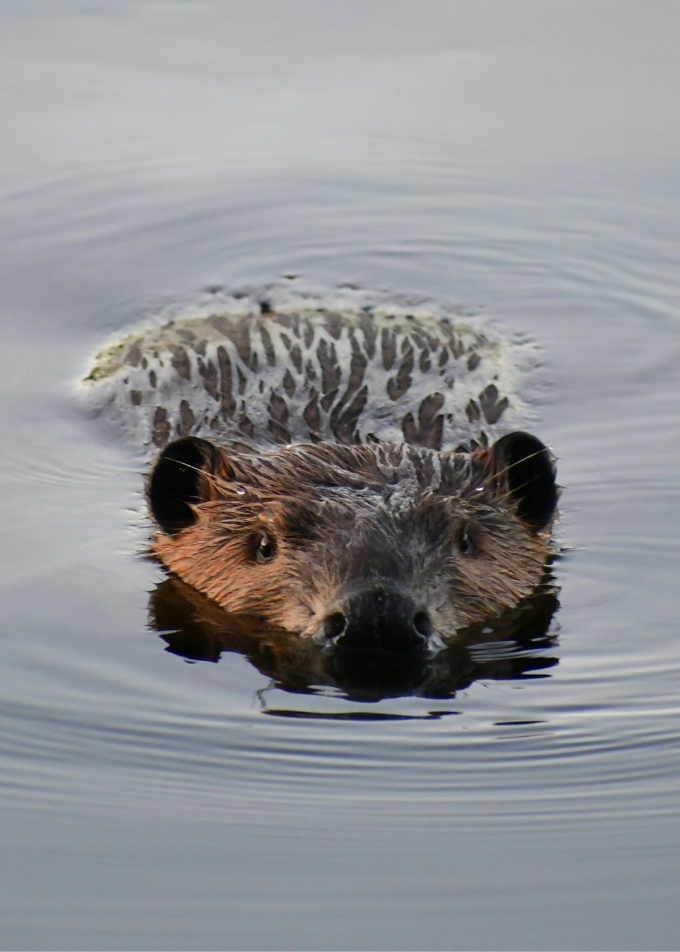 Newsletter_PORTRAIT images (Your Story)